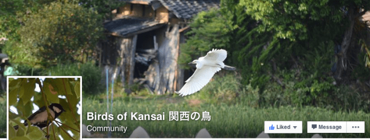 Screen Shot 2015-12-30 at 9.37.20 PM