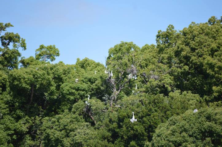 11430116_731961663580286_8583699419140860008_o