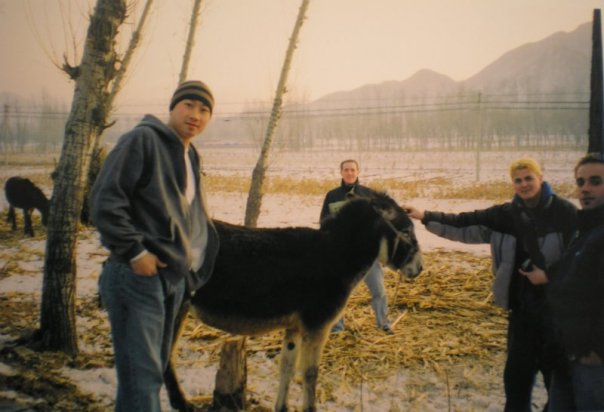 1909707_29354900576_3589_n