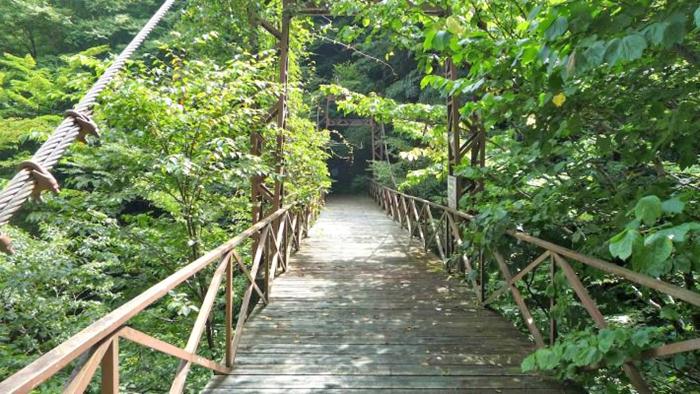 oiran-buchi-yamanashi