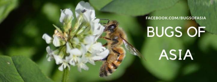 18582312_10158632282555577_8570708539006956984_n