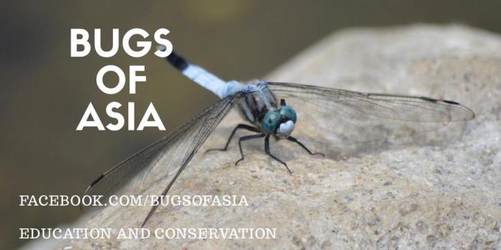 19223042_1352875291494017_4401268270168345653_o