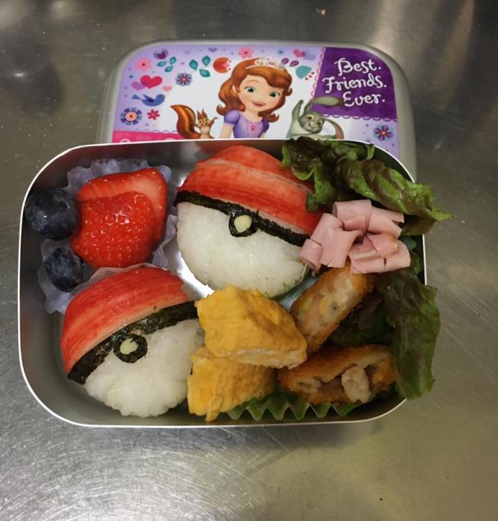 17155249_704068346441408_1371371214196955526_n