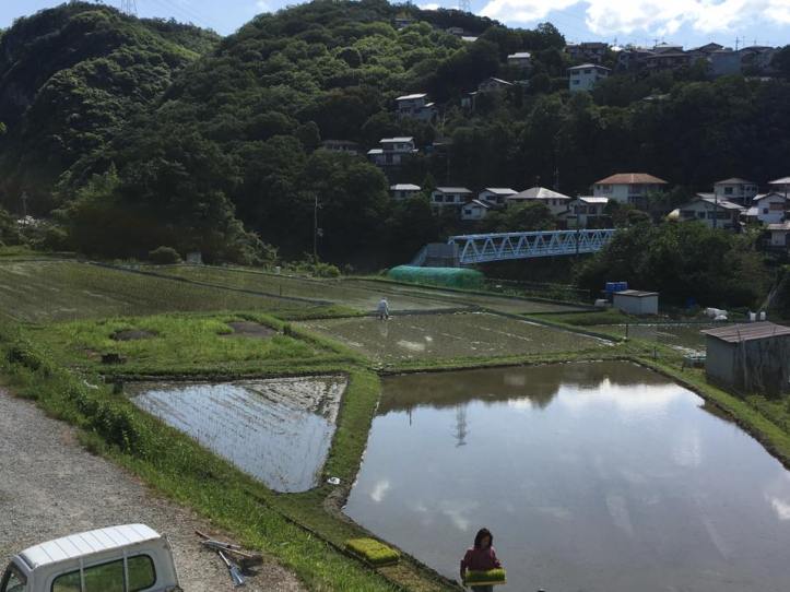 18882073_10158709815425577_8659001359492700120_n