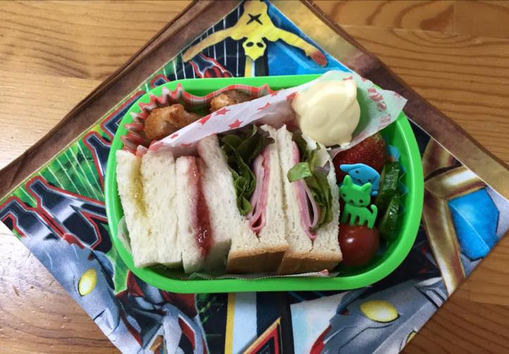 13233037_564440367070874_2800831717999378184_n